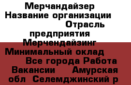 Мерчандайзер › Название организации ­ Team PRO 24 › Отрасль предприятия ­ Мерчендайзинг › Минимальный оклад ­ 30 000 - Все города Работа » Вакансии   . Амурская обл.,Селемджинский р-н